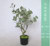 Simulação de Comércio Exterior Eucalipto Bonsai Árvore de Dinheiro Artificial Ornamentos de Árvore Falsa Simulação de Estilo Nórdico Bacia de Chão de Fábrica Verde