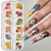 Caja de Joyería 12 Colores Transfronterizo Arte de Uñas Flores Secas Henna Japonés 3D Margarita de Cinco Pétalos Parche para Uñas