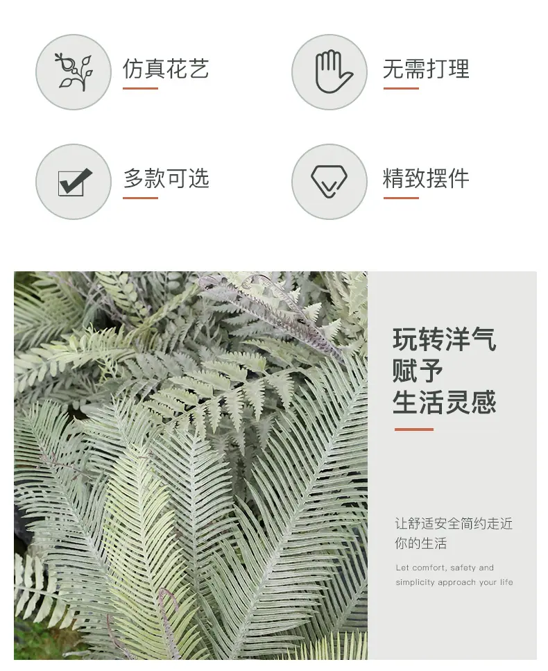 灰绿把束蕨_02.jpg