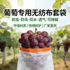 Bolsas Especiais de Tecido Não Tecido para Uvas, Buchas Vegetais e Frutas; À Prova de Insetos, À Prova de Pássaros, Impermeável, Respirável, Biodegradável e Amigo do Meio Ambiente