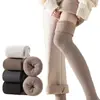 Nuevos Calcetines para Mujer de Otoño e Invierno Estilo Japonés Calcetines de Tubo Alto Calcetines Largos Casuales Felpa Engrosada Cálidos Venta al por Mayor Calcetines hasta la Rodilla