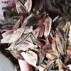 Semillas de eucommia recién recolectadas en el pasado, semillas de eucommia de alta calidad, corteza de ceiba, corteza de árbol de algodón, árbol de caucho, material medicinal semillas de eucommia