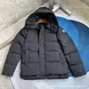 Jaqueta de Algodão com Penugem de Ganso de Alta Qualidade para Homens e Mulheres, Parka para Exterior com Capuz, Acolchoada, Quente, à Prova de Vento, Casaco com Gola de Pelo