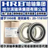 HRB Harbin Bearing 6300-2Z/C4 Vedação de Ferro Folga C4