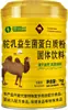 Pó Proteico Probiótico de Leite de Camelo Coral de Grama Bebida Sólida Multivitamínico Rico em Cálcio Pó Nutricional Embalagem de Balde 1kg