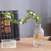 Baoshi Nieve de junio maceta hidropónica bonsái forma de acantilado oficina interior mesa fácil de cuidar plantas de follaje mesa de centro agua