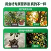 Solución Nutritiva Especializada para Árboles de Kumquat y Naranja, Fertilizante Líquido de Interior para Árboles Frutales en Maceta, Fertilizante Orgánico para Jardinería Casera