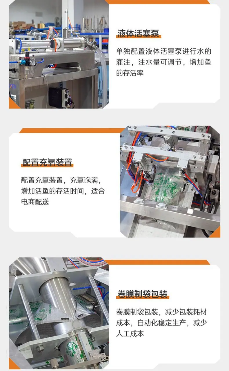 LD-520倾斜式+笋壳鱼+英姐_09.jpg