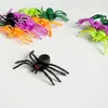 Ventas Directas de Fábrica en Stock Decoraciones de Araña Mini Multicolor para Halloween Accesorios Festival de Fantasmas Modelos de Araña Colores Mixtos Empaque Pequeño