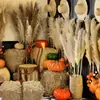 Palha Feno Maillard Outono Roupa Cena Arranjo Loja Decoração Palheiro Juncos Outono/Inverno Atmosfera Fundo
