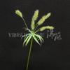 Plantas Artificiales Verdes, Decoración de Salón de Bodas Estilo Bosque, Flores Falsas, Flores Artificiales para Bodas, Plantas de Hojas Artificiales, Pared de Flores