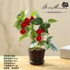 Mini Bonsai de Fruta Artificial de Alta Qualidade Direto do Fabricante, Decoração de Casa Artificial Elegante e Criativa, Dropshipping de Peça Única Plantas Artificiais em Vaso