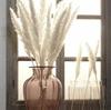 Fabricantes de origen Serie Blanca Viento INS de flores secas al por mayor Amazon Blanco pequeño Ramo de cañas DIY creativo