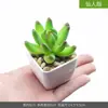 Planta suculenta artificial em vaso flor artificial armário de vinho mesa pequenos enfeites plantas verdes escritório mesa de trabalho sala de estar decorações para casa
