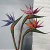 Novo Estilo Ave-do-Paraíso Planta de Borracha Macia para Decoração de Casa, Design de Espaço, Flores Artificiais para Casamento Atacado, Flores Artificiais