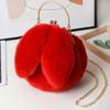 Fabricante Directo al Por Mayor Bolso con Orejas de Conejo Bolso Bandolera Bolso de Clip Cruzado Otoño e Invierno Bolso de Cadena