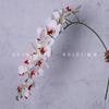 Flor Simulada Impresión 3D Arreglo de Flores Phalaenopsis de 15 Cabezas Adornos Flores Decorativas Escenario de Boda Flores Artificiales Flores Falsas