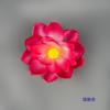 Simulação Cabeça de flor de lótus 18cm pequeno Lótus flor falsa adereços de palco Flor Salão de Buda paisagem restauração flor paisagem arranjo floral