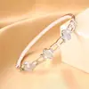 Pulsera Exquisita de Herradura y Trébol de Cuatro Hojas Estilo Coreano Nuevo Ins para Mujer Mismo Estilo que las Celebridades de Internet Moda Lujo Ligero Temperamento Joyería de Mano