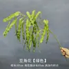 2026 Nuevo Modelo Plantas Verdes Artificiales Hierba de Espárrago Asparagus Asparaginea Decoración de Boda Flores Falsas Verdes Paisajismo Fotografía Plantas Verdes Estilo Bosque