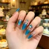 Puntas Azules Francesas Ojo de Gato para Uñas Largas para Manicura, Piezas de Uñas Prehechas, Venta al por Mayor desde Fabricante, Puntas de Uña Delgadas con Forma de Perro