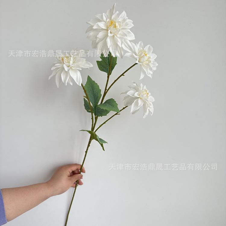 1ff2b980c39919d00cdac50cb4da3b