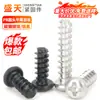 Tornillos Autorroscantes Pb Cabeza Redonda Phillips Cola Plana Niquelados, Tornillos Autorroscantes Cabeza Plana Cola Plana Negros, Gama Completa de Tornillos Autorroscantes