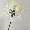 Baizilian Artificial Flor High-end Nicho Flor Material Água Lírios Cebolinha Falsa Flor Home Sala de Estar Colocação Fotografia Flor