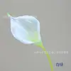 Flor Artificial nº 6 Lírio Calla Galho Único Flor Calla Grande de Borracha Macia Casamento Exportação Atacado Flor Artificial Decorativa
