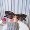 Óculos de Sol Masculino Fotografia de Rua Óculos Vintage Óculos de Sol Feminino Armação Grande Estrela Mesmo Estilo Olhos 2025 Nova Moda 97137