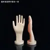 Guantes deportivos, accesorios para mano masculina, modelos de mano, guantes de protección para mano de trabajo falsos, modelo de exhibición de joyería para hombre, modelo de mano estándar