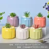 Maceta de Cerámica Transfronteriza Escandinava Creativa Simple Suculenta Maceta de Porcelana Combinación Redonda Planta Verde Maceta Macaron Jardinería