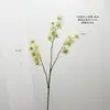 Estilo Nórdico Flor de Erizo de Mar de Aguja de Pino de 3 Puntas Estrella Apio Flor Artificial Decoración del Hogar Habitación Modelo Decoración Escena Fotografía de Boda