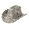 Sombrero de Jazz de Lana Nuevo de Venta Caliente Transfronterizo, Gorro de Una Línea, Sombrero de Ala Ancha, Sombrero de Fieltro, Vaquero Retro Único con Estampado de Serpiente