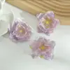 6cm Borda Queimada Camélia Painel de Casamento Flor de Seda Parede Peônia Fotografia Adereço de Cabeça Chapéu DIY Materiais de Acessórios Feitos à Mão