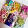 Bolsa de material para manualidades con flores secas de flor eterna, pétalos de flores reales, Gyp's Glowsophila, estilo natural, abanico, marco de fotos a juego.