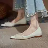 Sapatos de salto baixo estilo francês para mulheres, Coleção Primavera/Verão 2026, scarpins versáteis de bico fino, novo design de bico fino confortável e elegante
