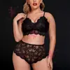 Ropa Interior Sexy Europea y Americana Tease Sin Quitar Entrepierna Abierta Encanto de Pasión para Gorditas Encaje Transparente Medianoche Pijama Sexy