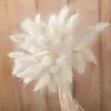 Comércio eletrônico transfronteiriço comércio exterior Amazon cor flor seca rabo de coelho grama atacado diy pequeno buquê vaso buquê