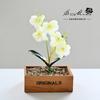 Flor falsa película de impresión 3D tacto pequeño Flor artificial Phalaenopsis planta verde artificial decoración de interiores fabricantes simulación planta verde