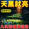 Piedras Luminiscentes para Jardinería, Piedras de Colores, Piedras Luminosas para Tanques de Tortugas, Decoraciones para Acuarios, Piedras para Acuarios, Piedras Luminiscentes