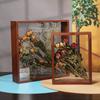 Oco 4cm flor seca moldura da foto quadrado de vidro de vidro duplo lado quadro de armazenamento do brinquedo DIY planta quadro de espécime tridimensional