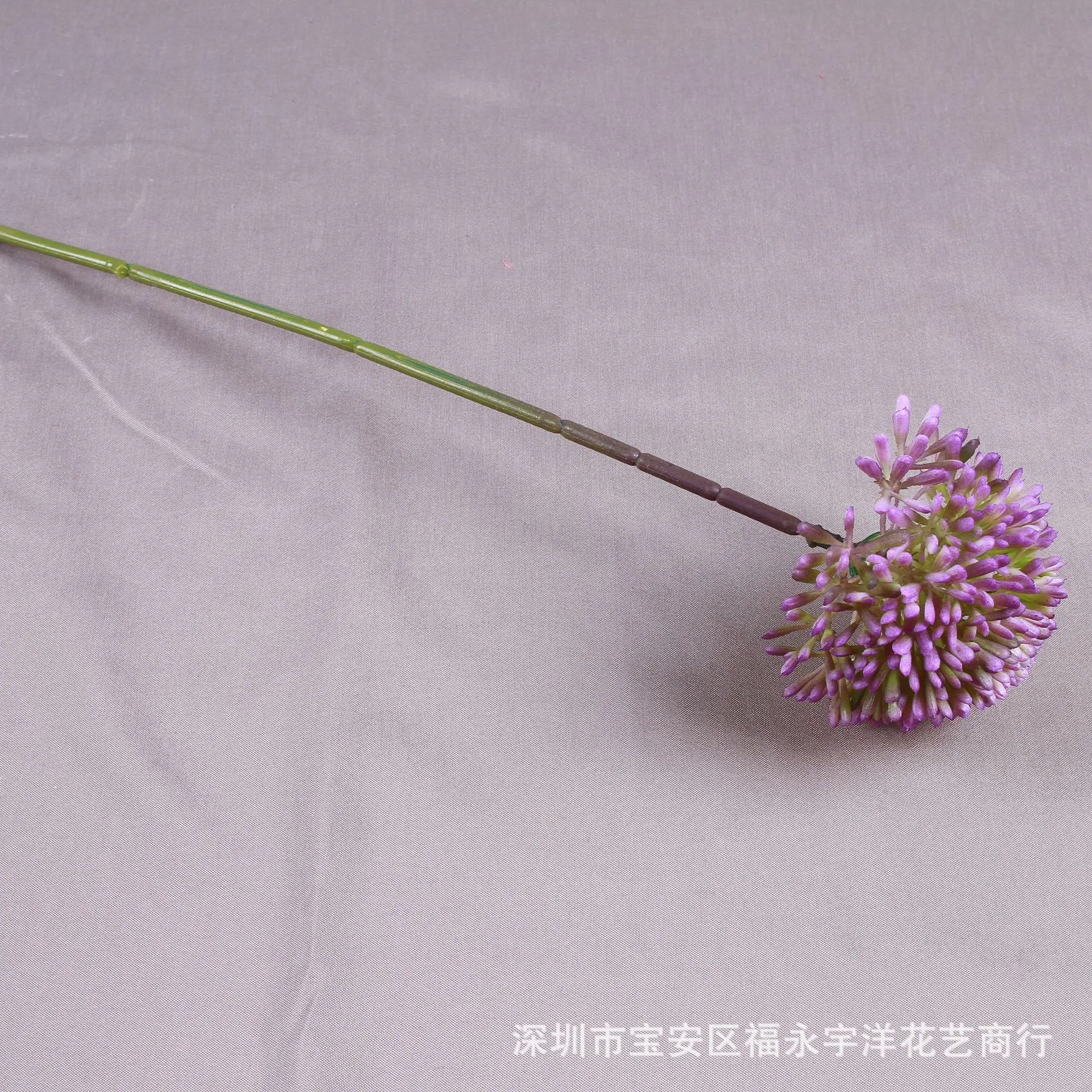 IMG_8594_副本.jpg