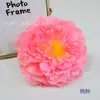 Flor Artificial 20cm Grande Peônia Dança da Peônia Yingluo Adereços Fundo de Casamento Decoração de Parede de Flores Bola de Flores Flor de Seda Atacado