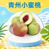 Duraznos pequeños de Qingzhou, Shandong, disponibles para entrega 1/3/ 2.5 kg fruta pequeña, jugosos, dulces, duraznos de miel de temporada en cajas coloridas, fruta fresca
