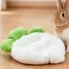 Suprimentos para animais de estimação adotam tapete de frutas para cães gato esteira de gaiola uma geração de fabricantes atacado Falai lã de coral