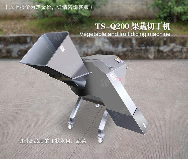 TS-Q200-果蔬切丁机-详情页(750px)_01.jp