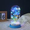 Cubierta de cristal con flor eterna, venta al por mayor, nuevo regalo creativo, adornos de escritorio con rosas, cadena de luces LED de colores, luz nocturna