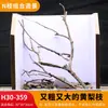 Árbol para paisajismo de acuario sudamericano, ramas secas, ramas de peral amarillo, decoración de sustrato, pecera pequeña, ramas naturales, decoración de paisajismo y paisajismo.
