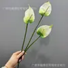 Antúrio artificial impresso em 3D, toque realista, modelo minimalista moderno para sala, decoração suave, arranjo floral, decoração de mesa de jantar